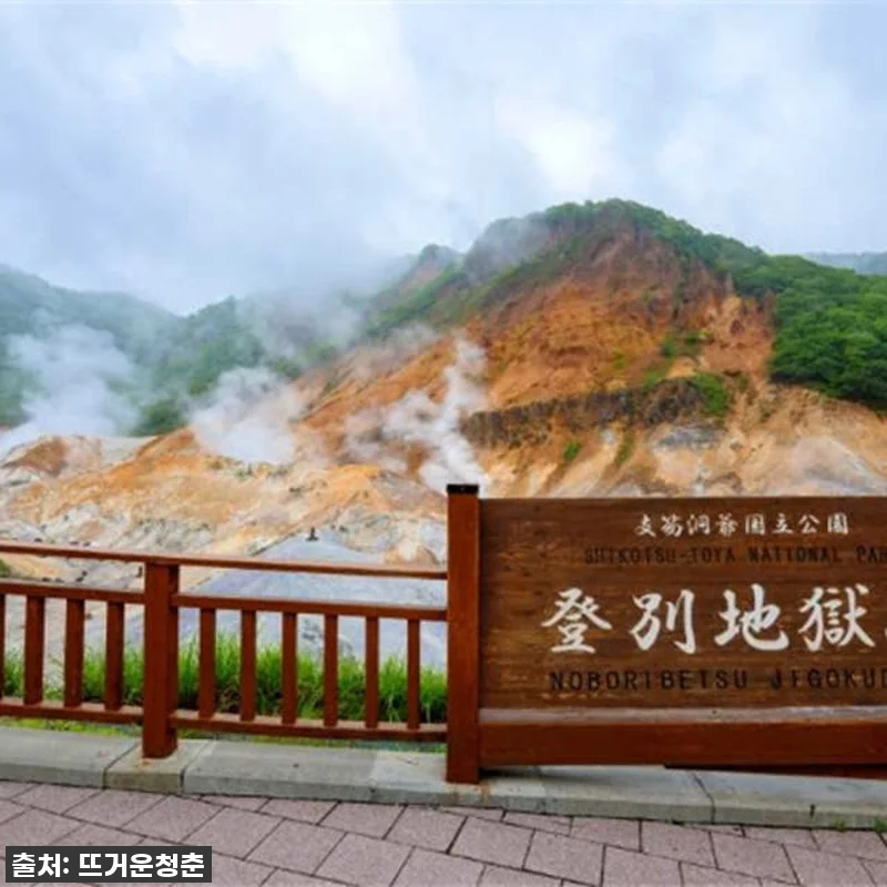 진심 대박! 홋카이도 1일 눈놀이 투 관련 이미지 1