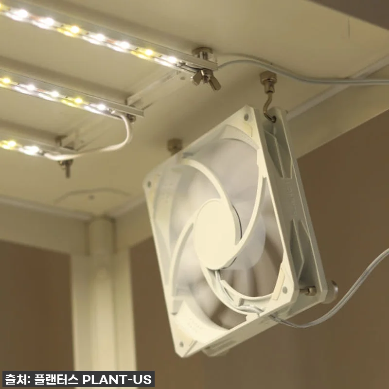 찐후기! 우리 집 식물들을 살린 품절 관련 이미지 1