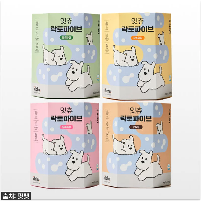 잇츄 락토파이브 강아지 대용량 덴탈껌 관련 이미지 1