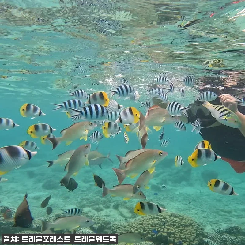 괌 가족여행 필수코스! 한국인 강사 관련 이미지 2