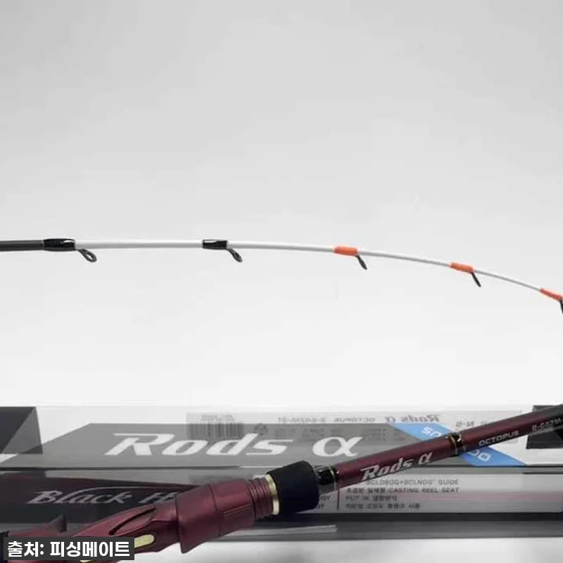 이슈템 떴다! NS 로드스 알파 옥토 관련 이미지 2