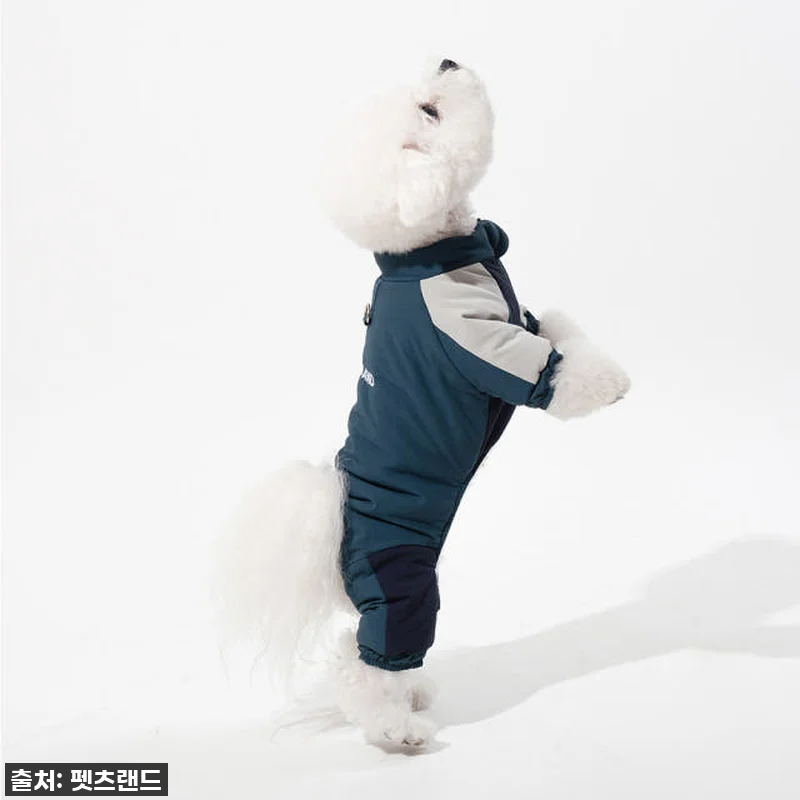 우리 댕댕이 겨울나기 필수템! 강아지 올인원 패딩 트래블올인원+실내복, 직접 입혀보니... 이건 무조건 쟁여야 할 찐후기! 13 우리 댕댕이 겨울나기 필수템! 강아지 관련 이미지 2