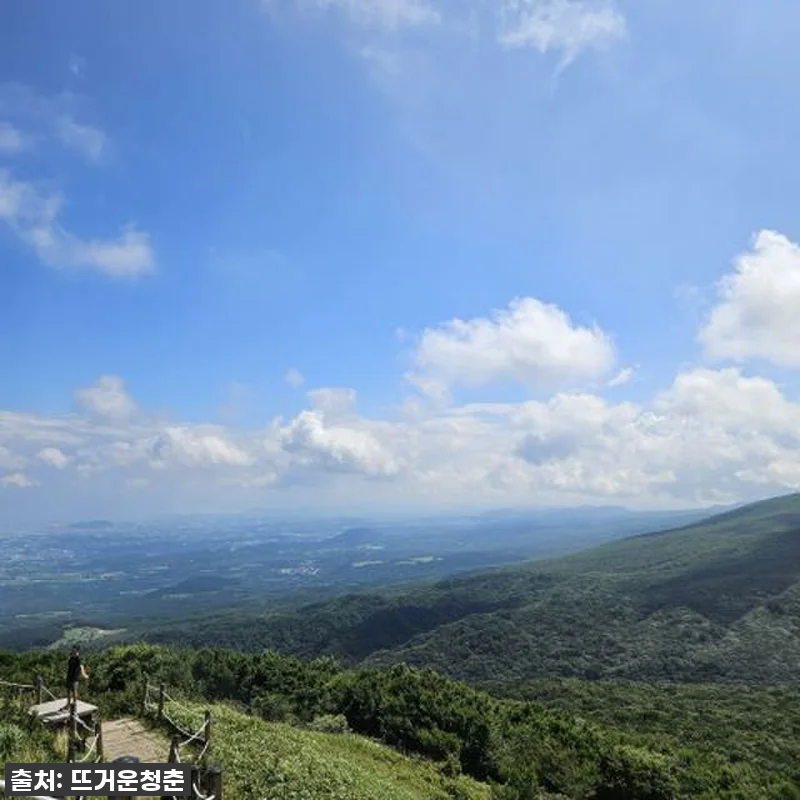 점심 포함 제주도 남부 버스 투어 전 관련 이미지 2