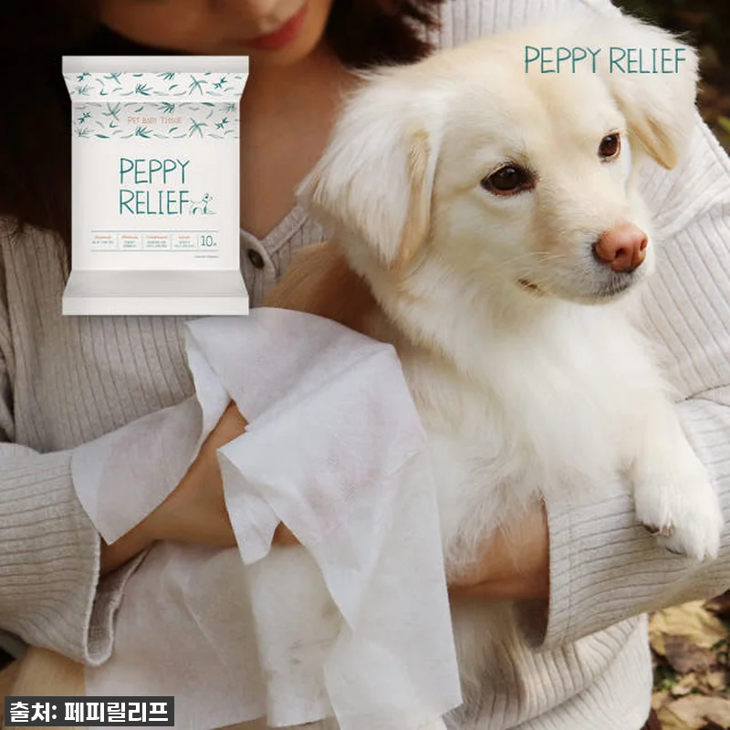 급해서 쟁여뒀어요! 우리 댕댕이 피부 관련 이미지 2