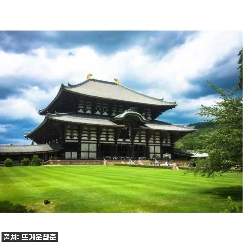 이 가격 실화?! 일본 나라 개인 투 관련 이미지 3