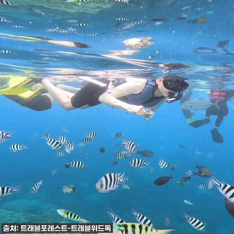 괌 가족여행 필수코스! 한국인 강사 관련 이미지 3