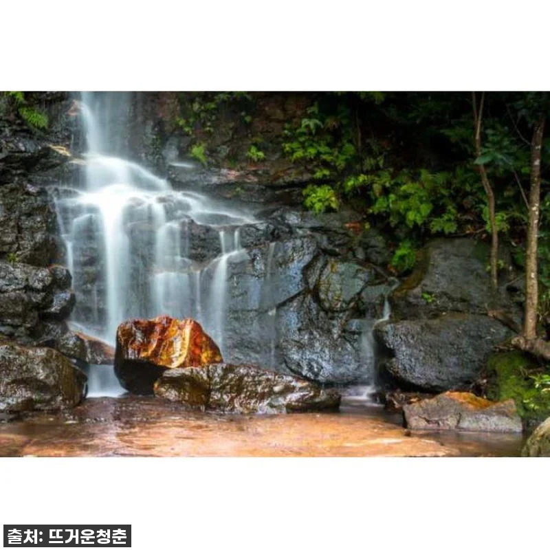 호주 시드니: 디럭스 프라이빗 데이 관련 이미지 3