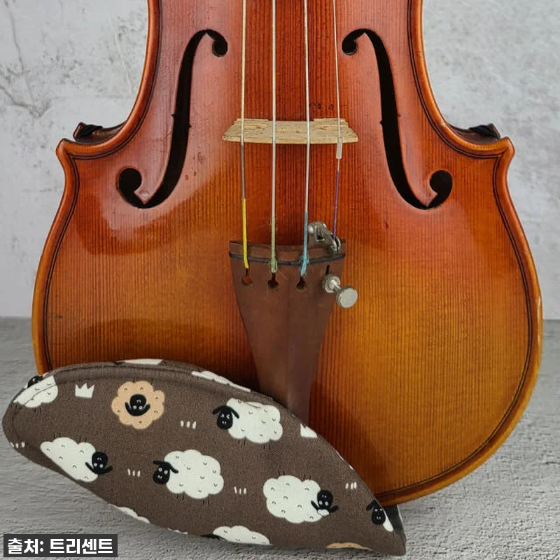 우리 아이 바이올린 연습, 징징거림 관련 이미지 3