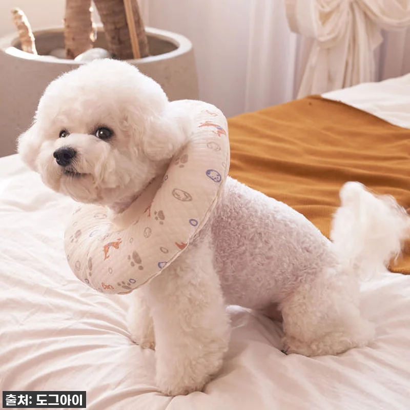 ⭐품절임박!⭐ 우리 강아지 토리의 숙 관련 이미지 3