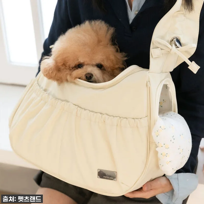 이동가방 유목민 주목! 앨리스 슬링백 관련 이미지 3