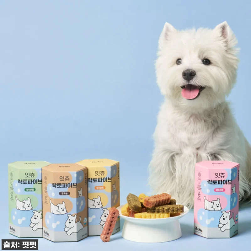 잇츄 락토파이브 강아지 대용량 덴탈껌 관련 이미지 3