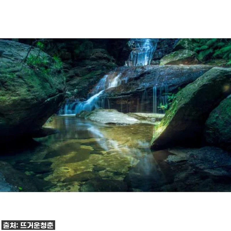 호주 시드니: 디럭스 프라이빗 데이 관련 이미지 4