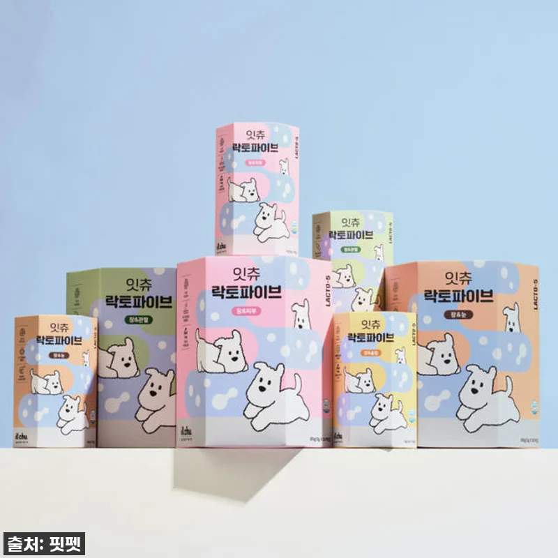 잇츄 락토파이브 강아지 대용량 덴탈껌 관련 이미지 4