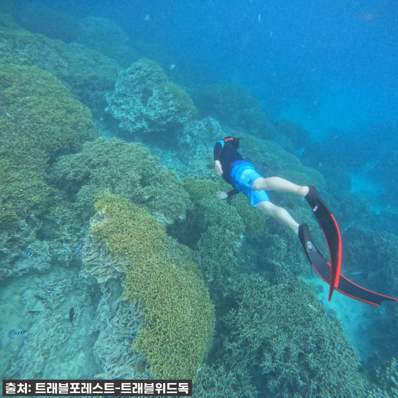 괌 가족여행 필수코스! 한국인 강사 관련 이미지 5
