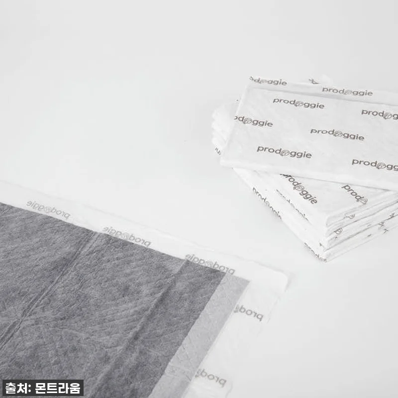 🎁긴급공수🎁 찐 집사들의 선택! 프로 관련 이미지 6