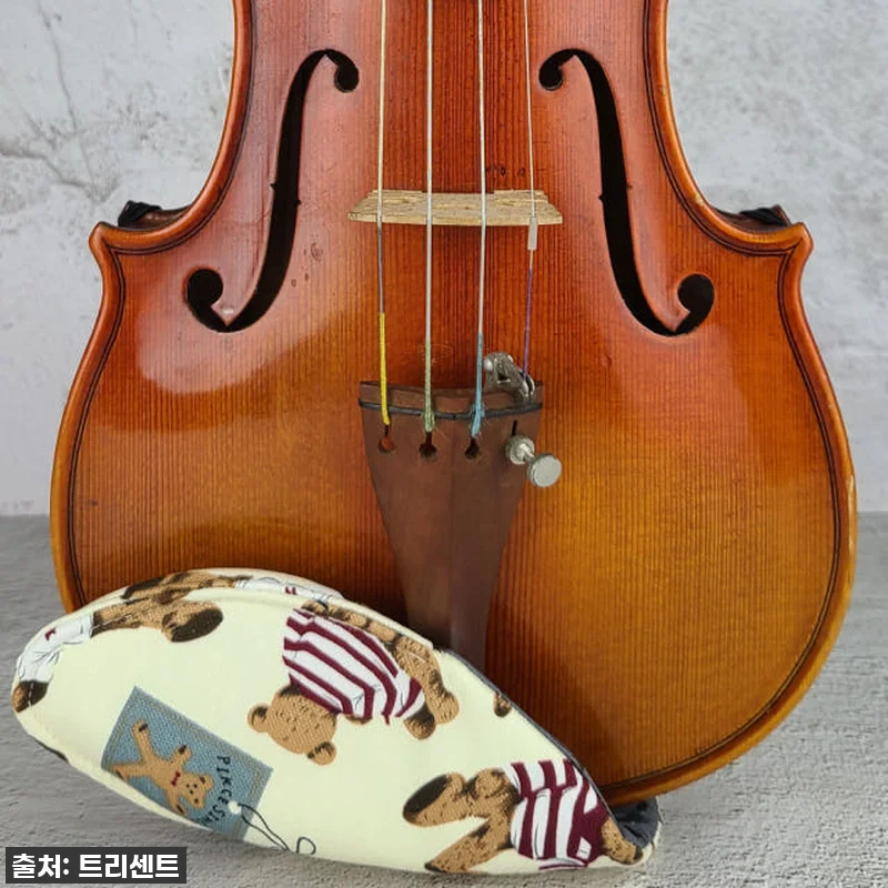 우리 아이 바이올린 연습, 징징거림 관련 이미지 6