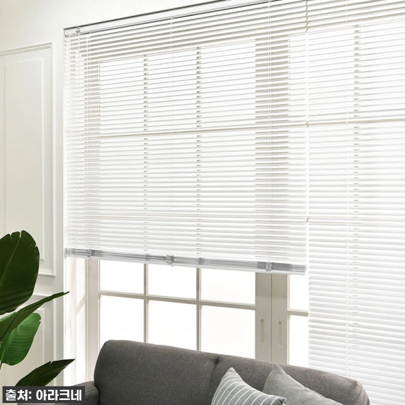 와! 이 가격 실화? 아라크네 무타공 관련 이미지 6