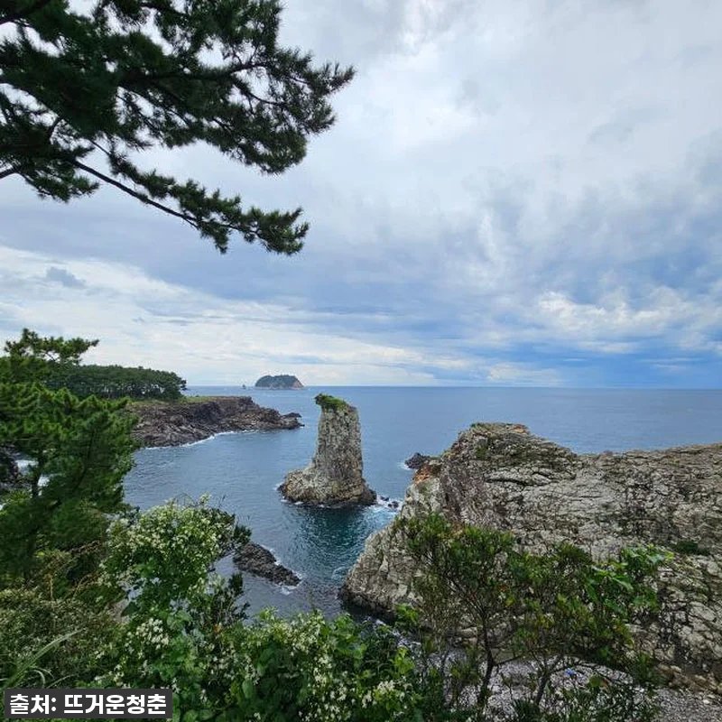 점심 포함 제주도 남부 버스 투어 전 관련 이미지 7
