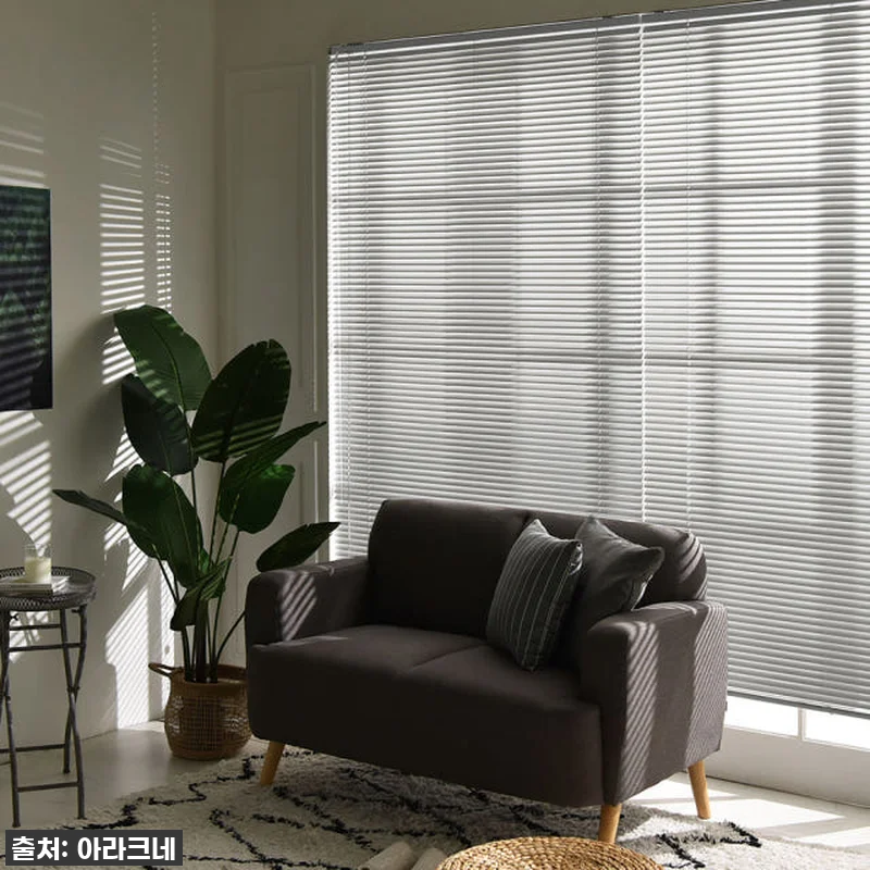 와! 이 가격 실화? 아라크네 무타공 관련 이미지 8