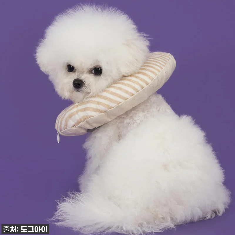 ⭐품절임박!⭐ 우리 강아지 토리의 숙 관련 이미지 9