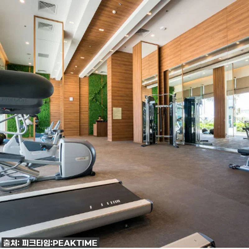 푸꾸옥 베스트웨스턴 소나시 풀빌라 찐 관련 이미지 9