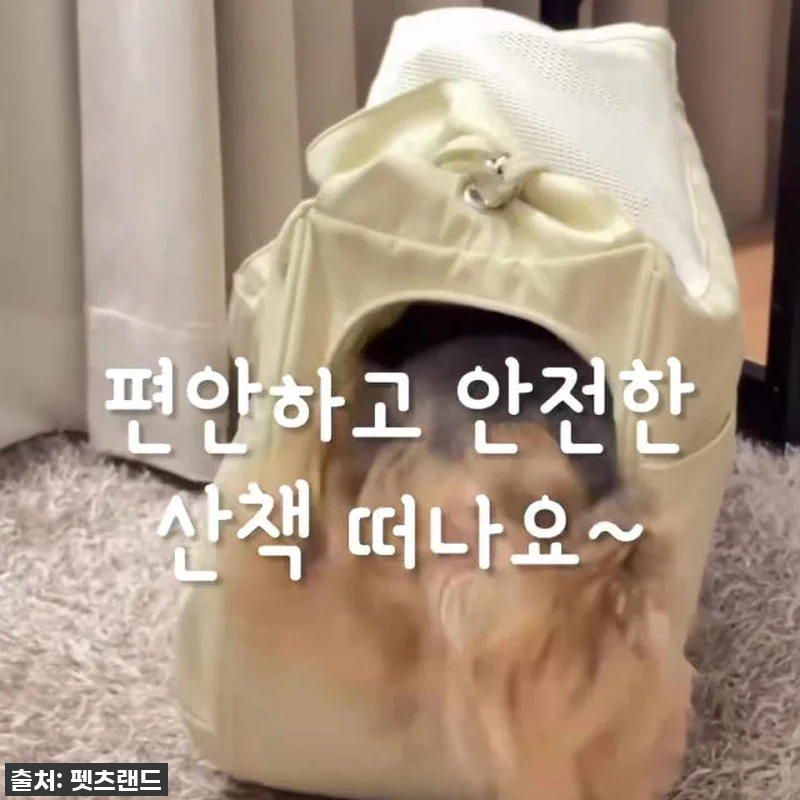 이동가방 유목민 주목! 앨리스 슬링백 관련 이미지 10