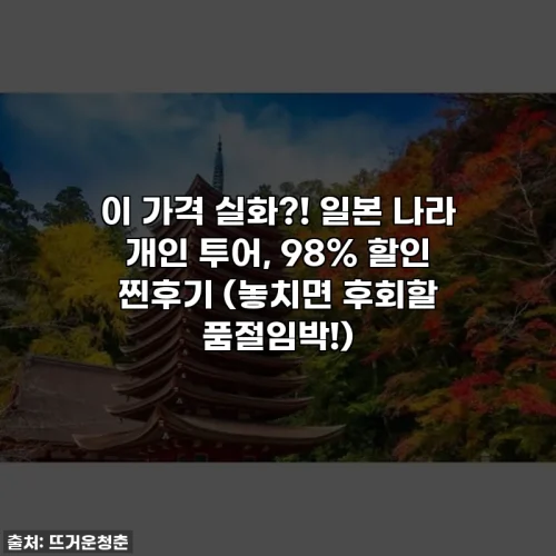 이 가격 실화?! 일본 나라 개인 투어, 98% 할인 찐후기 (놓치면 후회할 품절임박!)