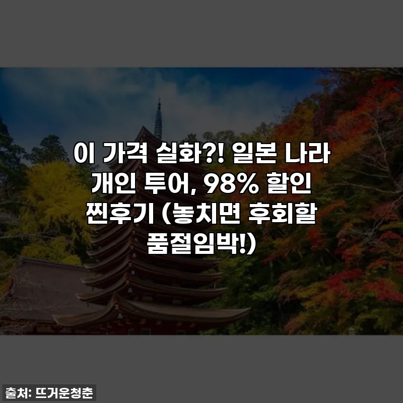 이 가격 실화?! 일본 나라 개인 투어, 98% 할인 찐후기 (놓치면 후회할 품절임박!)