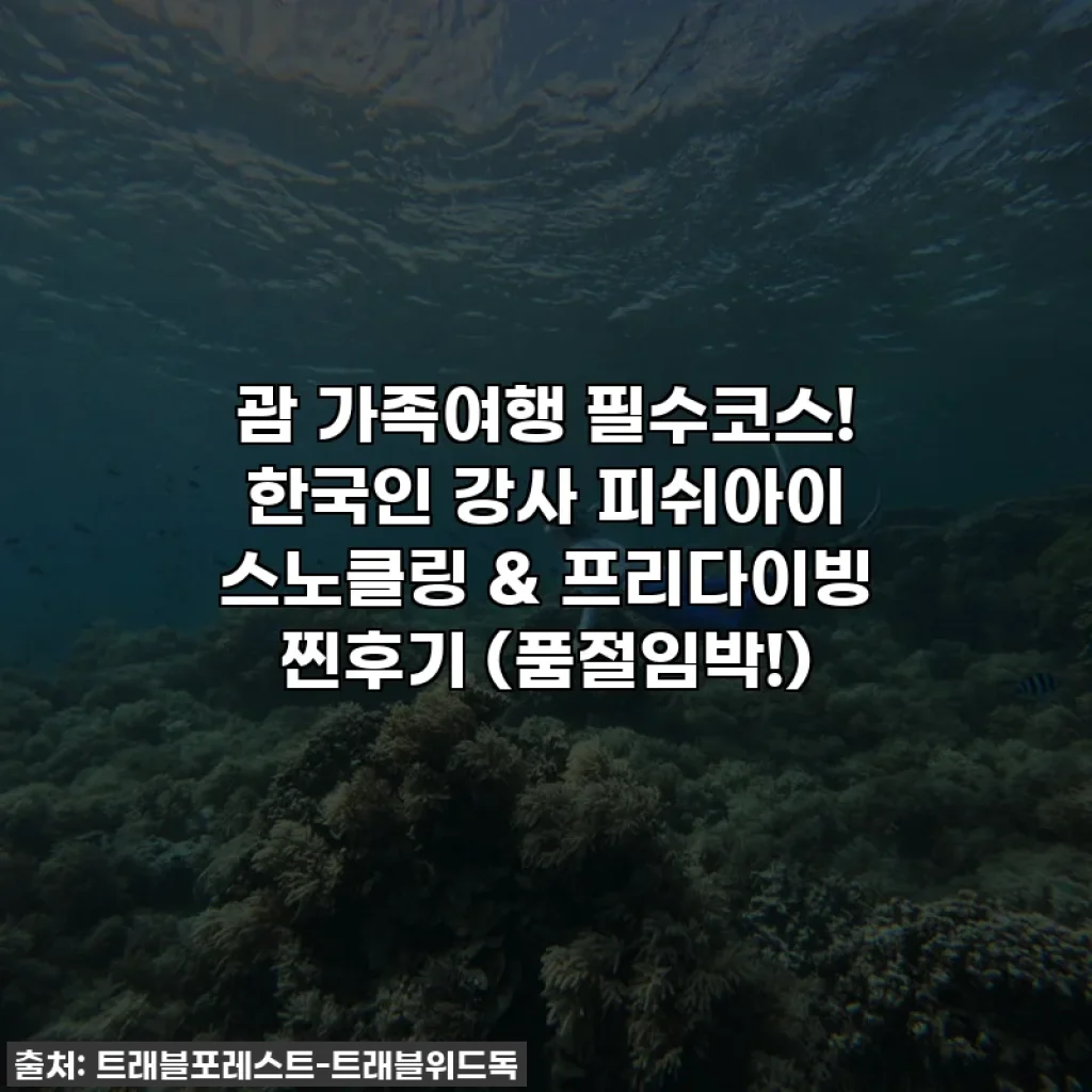 괌 가족여행 필수코스! 한국인 강사 피쉬아이 스노클링 & 프리다이빙 찐후기 (품절임박!)