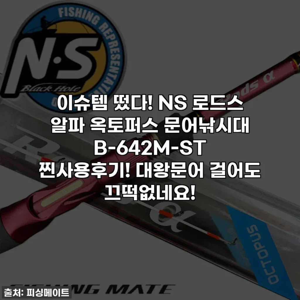 이슈템 떴다! NS 로드스 알파 옥토퍼스 문어낚시대 B-642M-ST 찐사용후기! 대왕문어 걸어도 끄떡없네요!