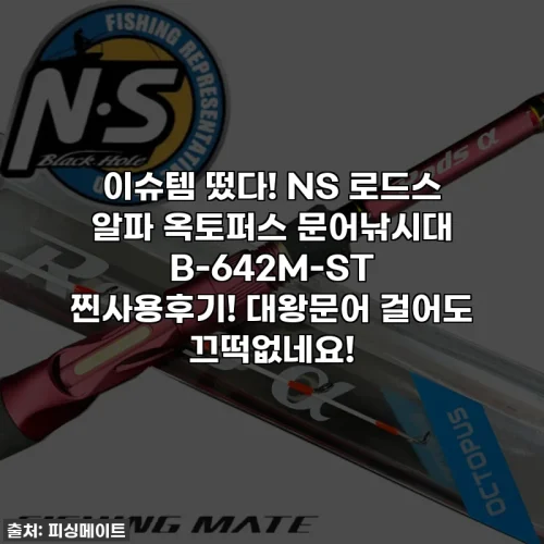 이슈템 떴다! NS 로드스 알파 옥토퍼스 문어낚시대 B-642M-ST 찐사용후기! 대왕문어 걸어도 끄떡없네요!