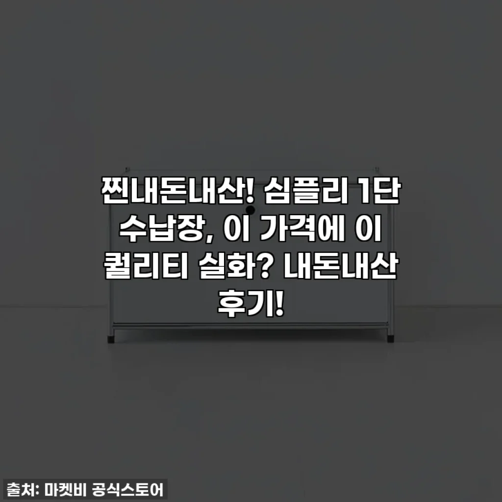 찐내돈내산! 심플리 1단 수납장, 이 가격에 이 퀄리티 실화? 내돈내산 후기!