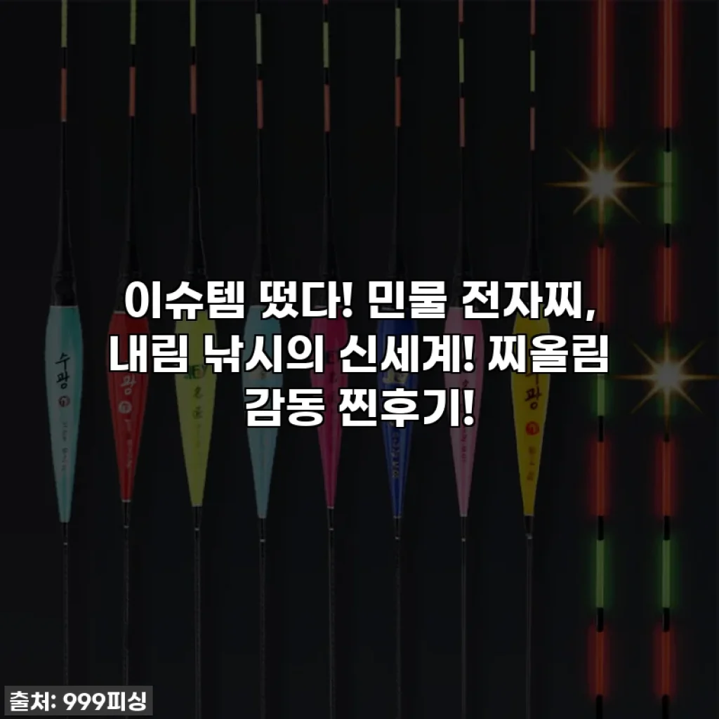 이슈템 떴다! 민물 전자찌, 내림 낚시의 신세계! 찌올림 감동 찐후기!