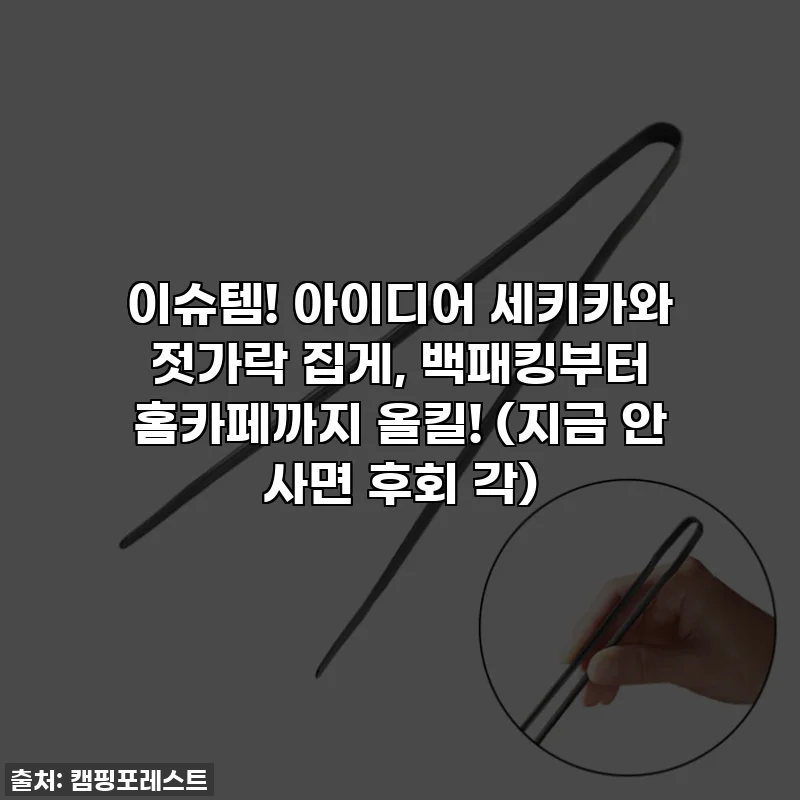 이슈템! 아이디어 세키카와 젓가락 집게, 백패킹부터 홈카페까지 올킬! (지금 안 사면 후회 각)