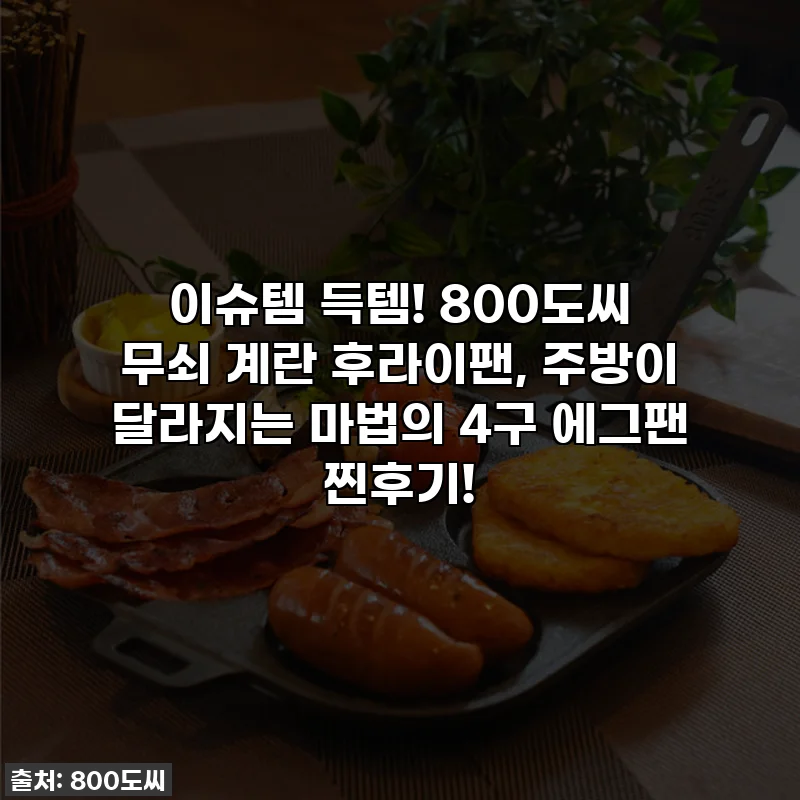 이슈템 득템! 800도씨 무쇠 계란 후라이팬, 주방이 달라지는 마법의 4구 에그팬 찐후기!