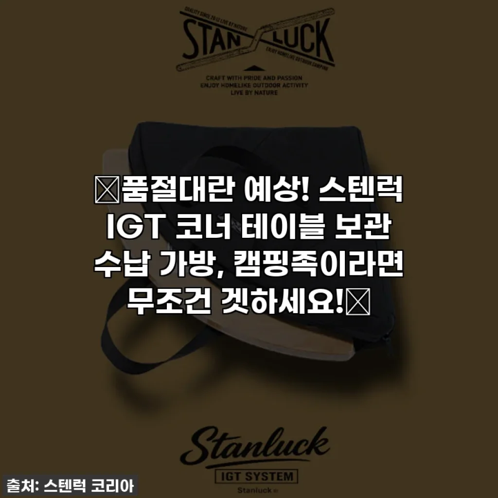 🔥품절대란 예상! 스텐럭 IGT 코너 테이블 보관 수납 가방, 캠핑족이라면 무조건 겟하세요!🔥