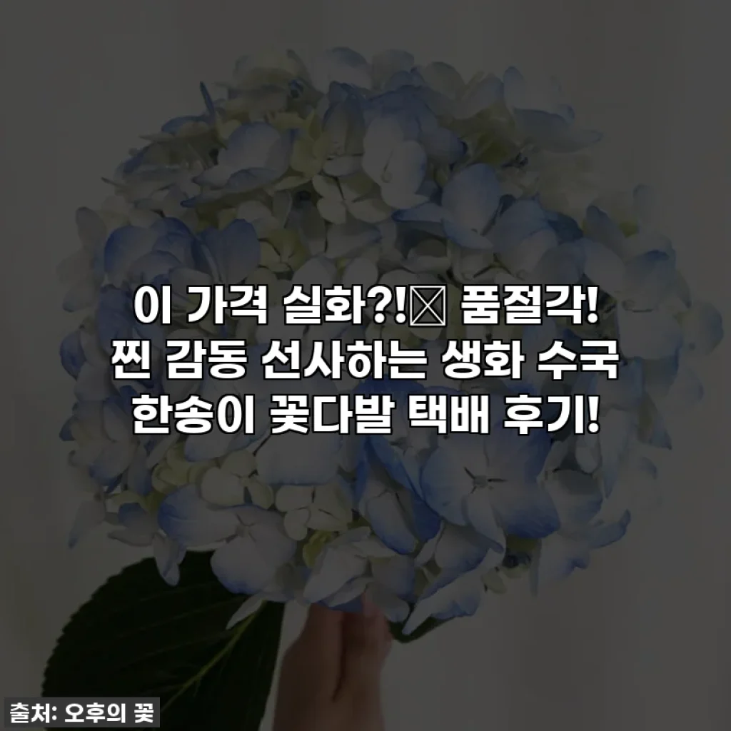 이 가격 실화?!✨ 품절각! 찐 감동 선사하는 생화 수국 한송이 꽃다발 택배 후기!