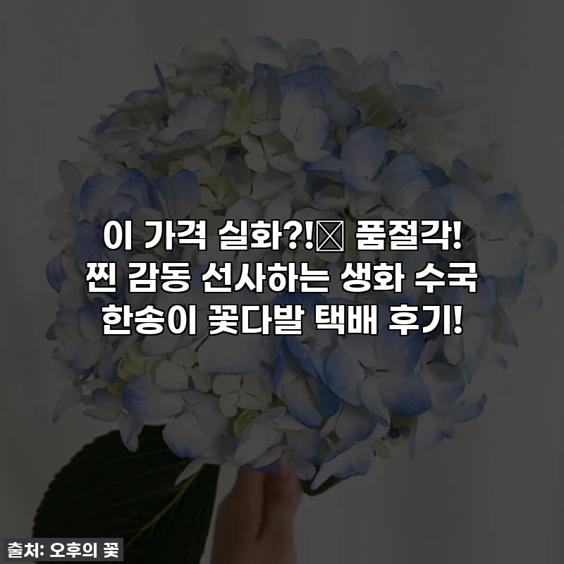 이 가격 실화?!✨ 품절각! 찐 감동 선사하는 생화 수국 한송이 꽃다발 택배 후기!