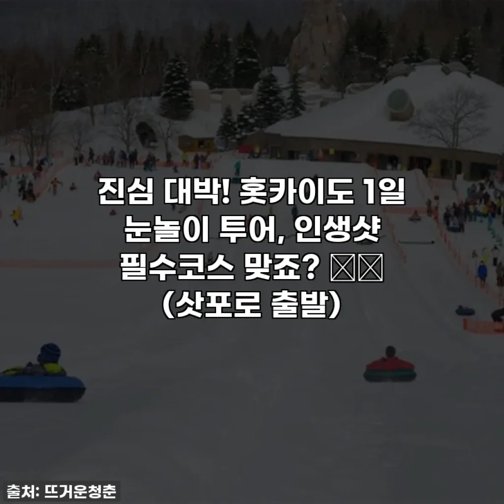 진심 대박! 홋카이도 1일 눈놀이 투어, 인생샷 필수코스 맞죠? ❄️ (삿포로 출발)