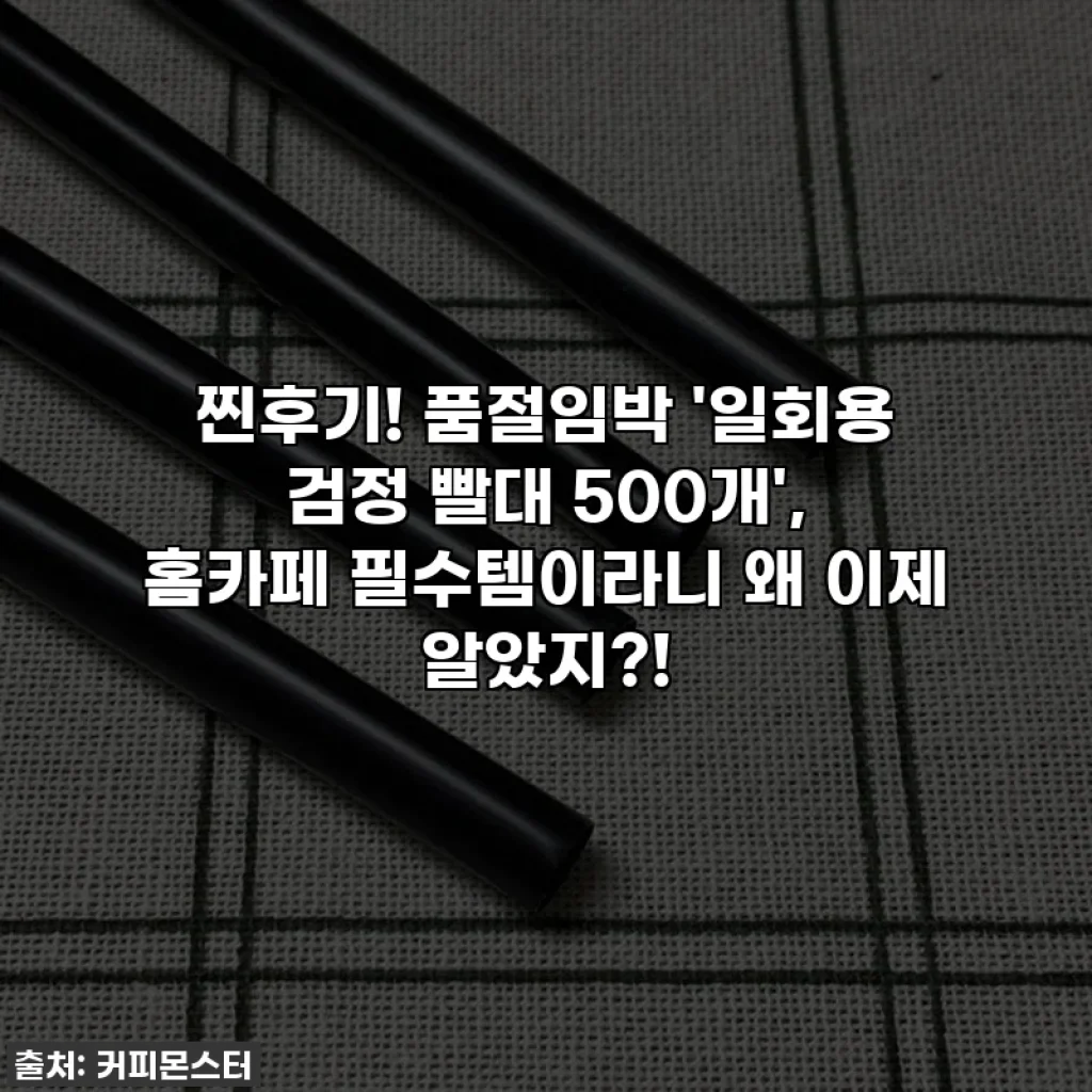 찐후기! 품절임박 '일회용 검정 빨대 500개', 홈카페 필수템이라니 왜 이제 알았지?!