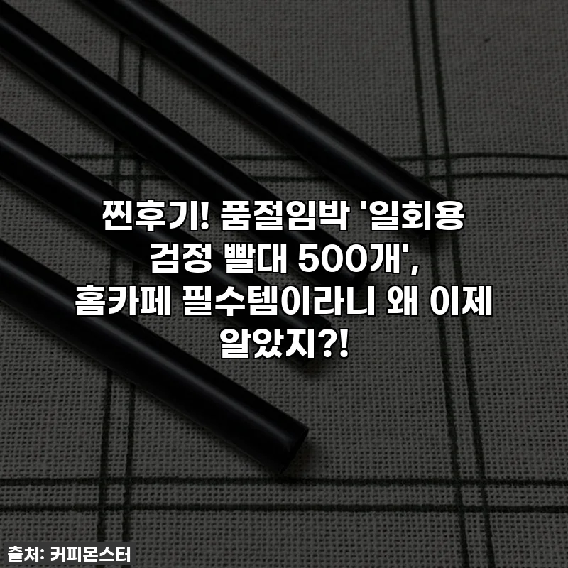 찐후기! 품절임박 '일회용 검정 빨대 500개', 홈카페 필수템이라니 왜 이제 알았지?!