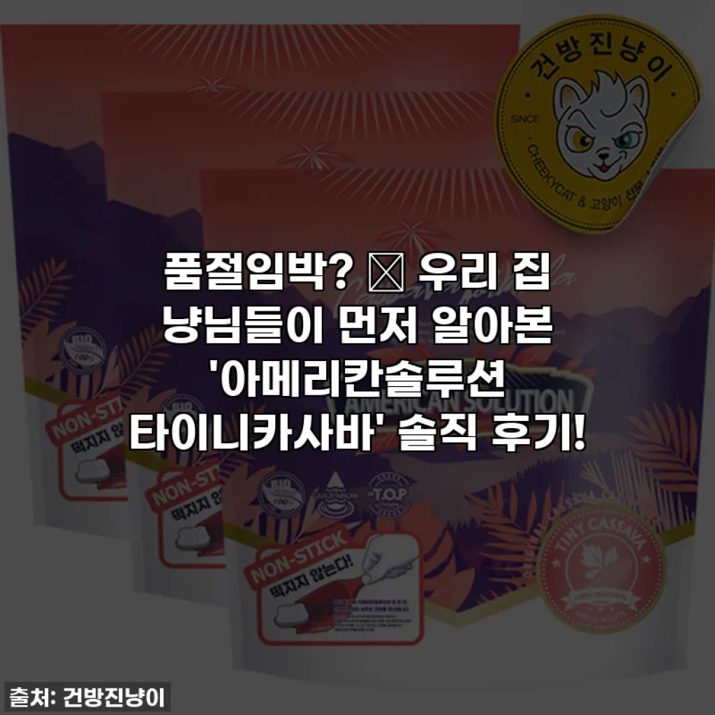 품절임박? ✨ 우리 집 냥님들이 먼저 알아본 '아메리칸솔루션 타이니카사바' 솔직 후기!