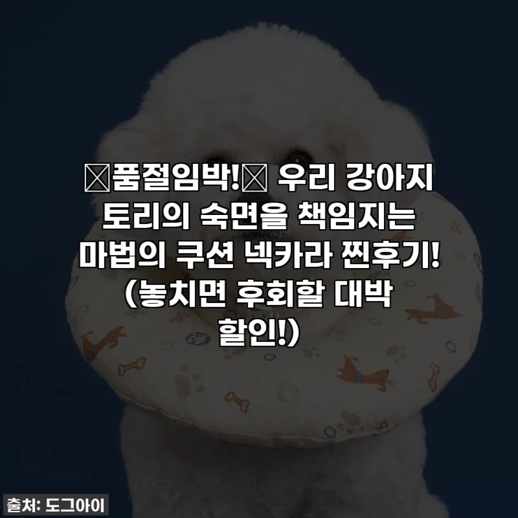 ⭐품절임박!⭐ 우리 강아지 토리의 숙면을 책임지는 마법의 쿠션 넥카라 찐후기! (놓치면 후회할 대박 할인!)