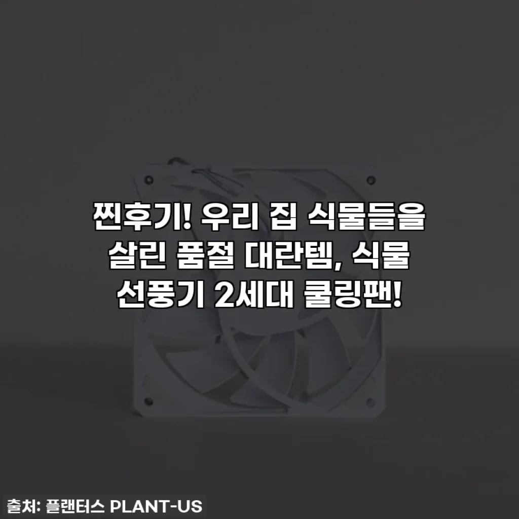 찐후기! 우리 집 식물들을 살린 품절 대란템, 식물 선풍기 2세대 쿨링팬!