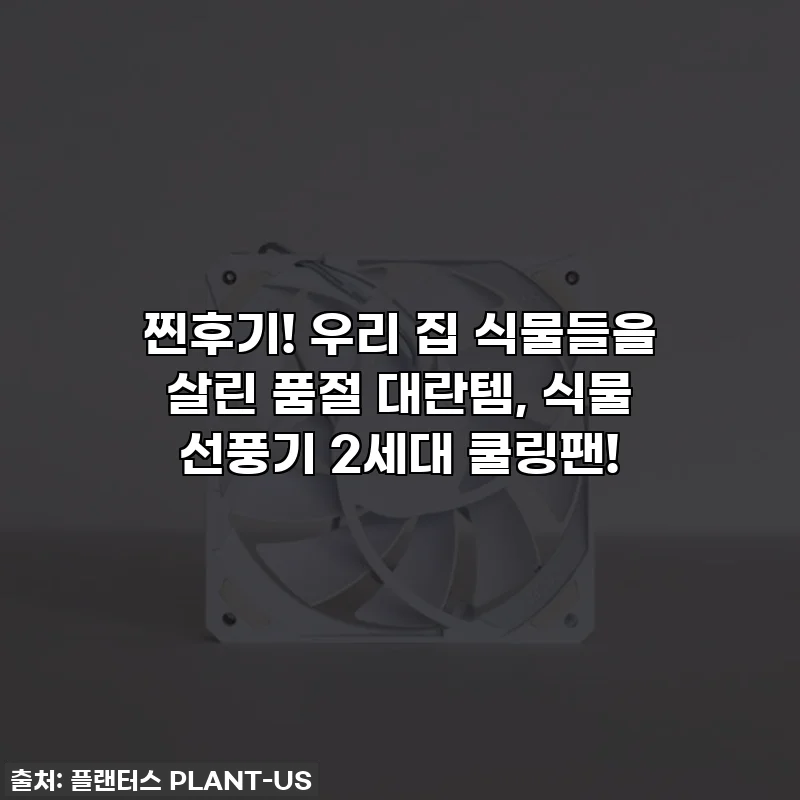 찐후기! 우리 집 식물들을 살린 품절 대란템, 식물 선풍기 2세대 쿨링팬!
