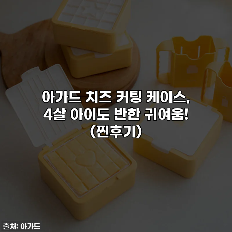 아가드 치즈 커팅 케이스, 4살 아이도 반한 귀여움! 🧀✨ (찐후기)