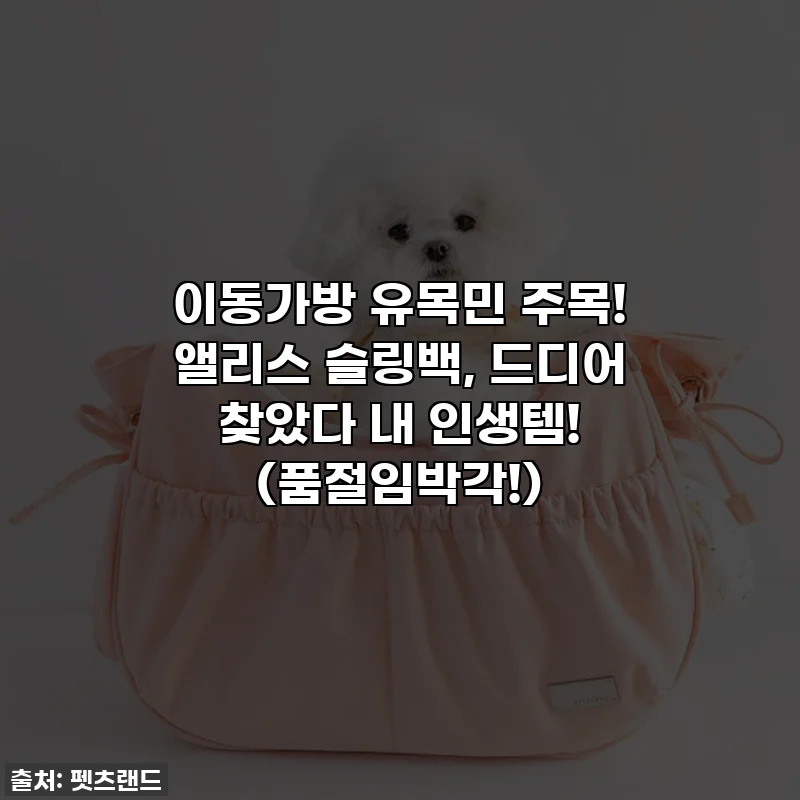 이동가방 유목민 주목! 앨리스 슬링백, 드디어 찾았다 내 인생템! 🐾 (품절임박각!)