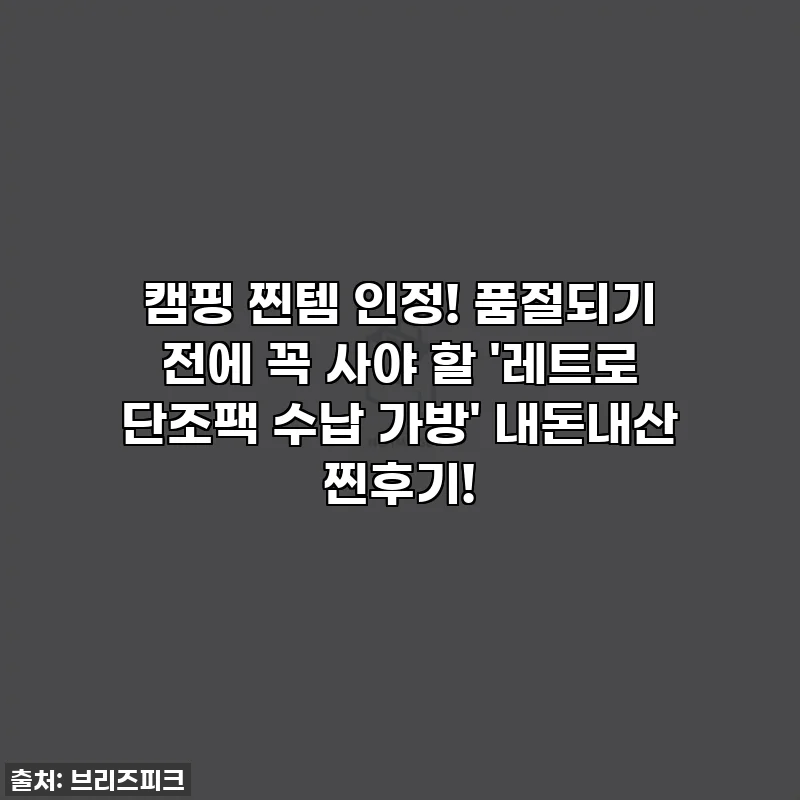 캠핑 찐템 인정! 품절되기 전에 꼭 사야 할 '레트로 단조팩 수납 가방' 내돈내산 찐후기!