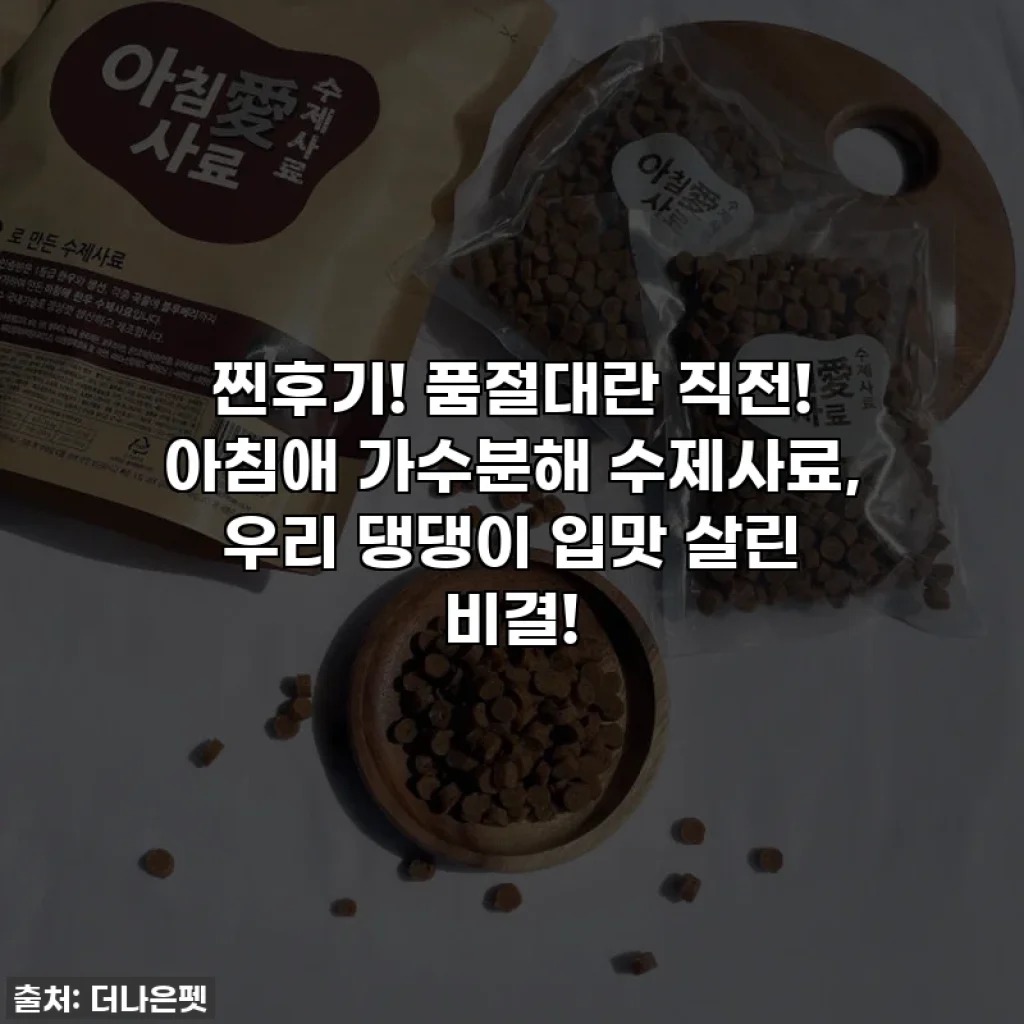 찐후기! 품절대란 직전! 아침애 가수분해 수제사료, 우리 댕댕이 입맛 살린 비결!