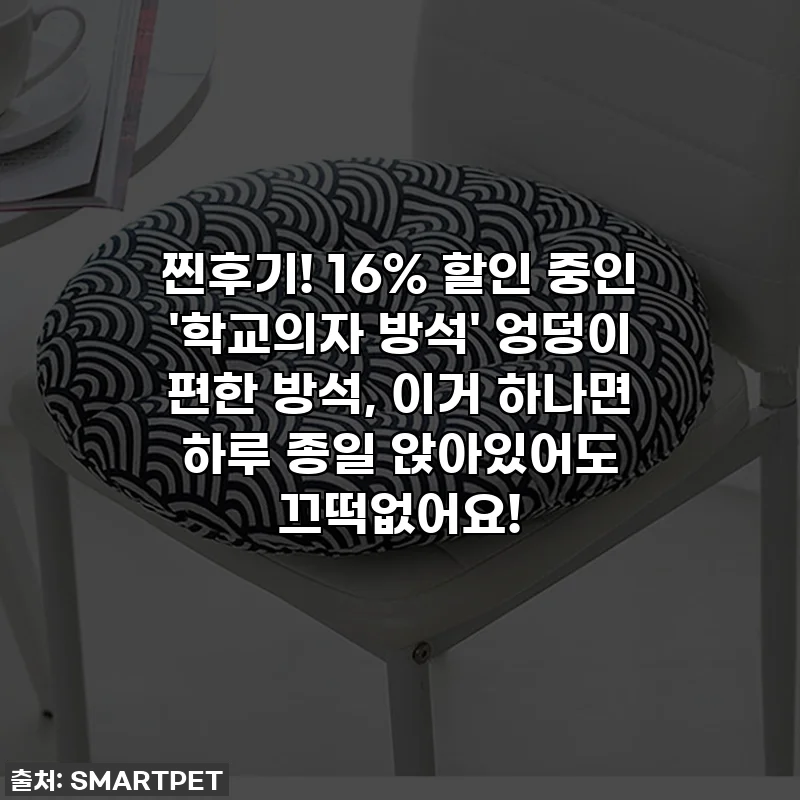 찐후기! 16% 할인 중인 '학교의자 방석' 엉덩이 편한 방석, 이거 하나면 하루 종일 앉아있어도 끄떡없어요!